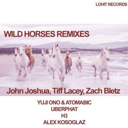 Wild Horses Remixes