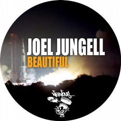 Joel Jungell Beautiful Chart