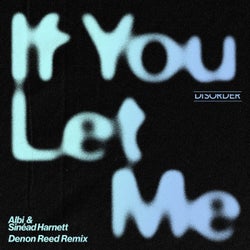 If You Let Me (Denon Reed Extended Remix)