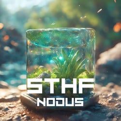 Nodus