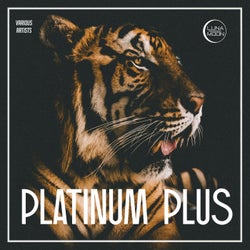 Platinum Plus