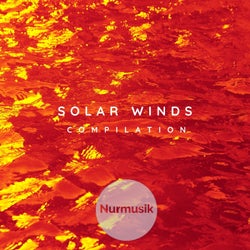 Solar Winds