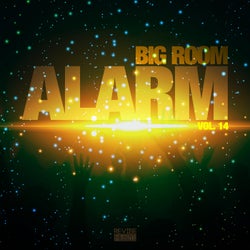 Big Room Alarm, Vol. 14