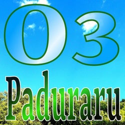 O3 (Paduraru Fitness Mix)