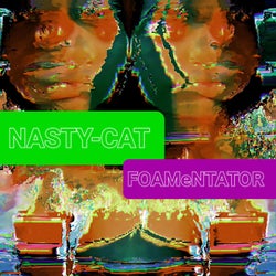 FOAMeNTATOR