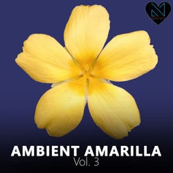 Ambient Amarilla, Vol. 3