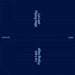 Flying High (Extended Mix)
