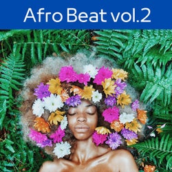 Afro Beat, Vol.2