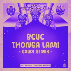 Thonga Lami (Gaudi Remix)