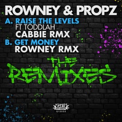 Raise the Levels (Cabbie Remix) / Get Money (Rowney Remix)