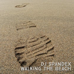 Walking The Beach