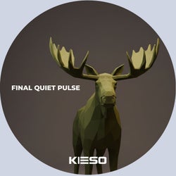Final Quiet Pulse