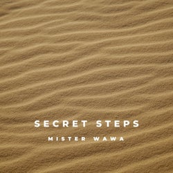 Secret Steps (feat. Dedrey & Startone)