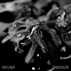 Physis: Parodos