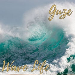 Wave Life