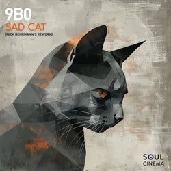 Sad Cat (Nick Behrmann Remix)