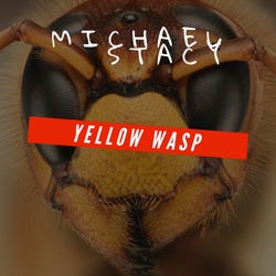 Yellow Wasp
