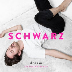 Dream (Schiller Remix)