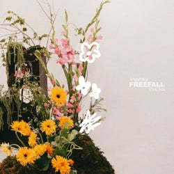 FREEFALL
