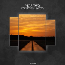 Polyptych Limited: Year Two