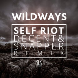 Self Riot (Decent & Snapper Remix)