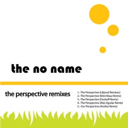 The Perspective (Remixes)