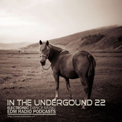 EDM Radio - In The Underground 22