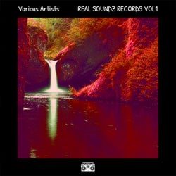 REAL SOUNDZ RECORDS VOL 1