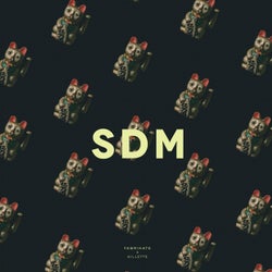 SDM (feat. Gillette)