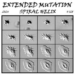 Extended Mutation