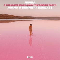 A Thousand Miles [The Remixes, Pt. 1]