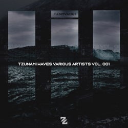 Tzunami Waves Various Artists, Vol. 1