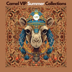Camel VIP Summer Collections