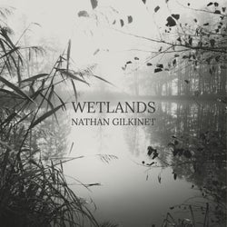 Wetlands