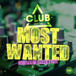 Most Wanted - Bigroom Selection Vol. 29