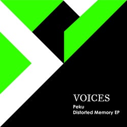 Distorted Memory EP