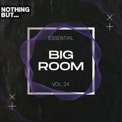 Nothing But... Essential Big Room, Vol. 24