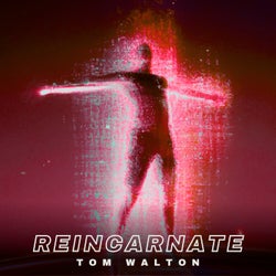 Reincarnate