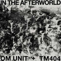 In The Afterworld
