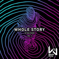Whole Story Of Big Room Vol. 2