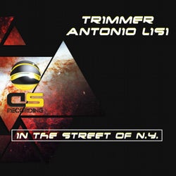 In the Street of N.Y. (feat. Antonio Lisi) [Extendet Mix]