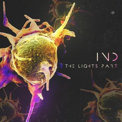 IND_The light part