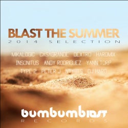 Blast The Summer 2014 (Selection)