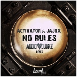 No Rules (Audio Junkz Remix)