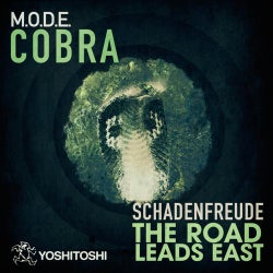 Cobra / The Road Leads East