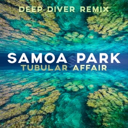 Tubular Affair (Deep Diver Remix)