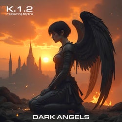 Dark Angels (feat. Elytra)