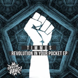 Revolution In Your Pocket