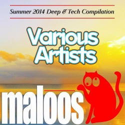 VA - Summer 2014 Deep & Tech