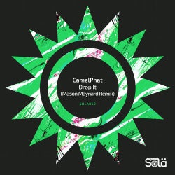 Cover für Drop It (Mason Maynard Remix)